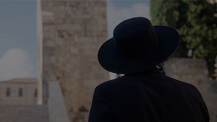 Taglit Birthright Israel